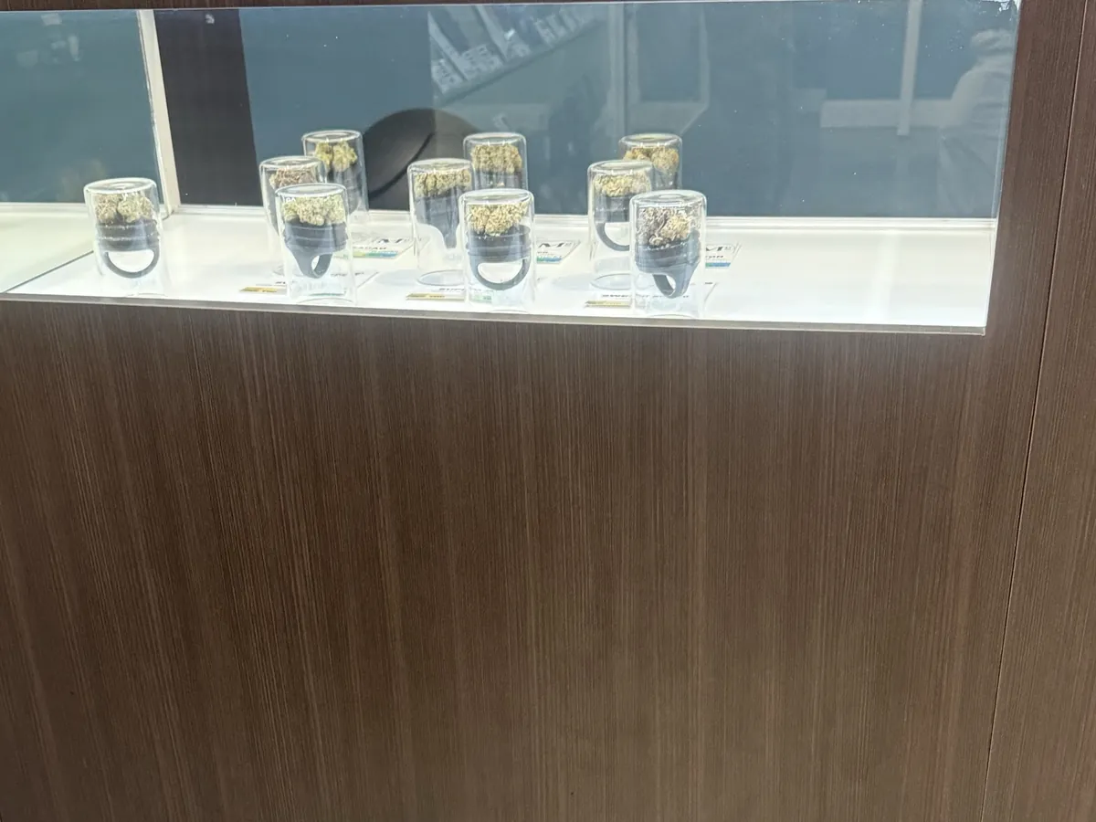Glass display case with cannabis flower jars at Markt.